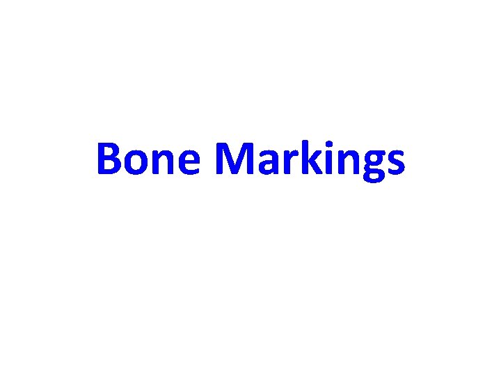 Bone Markings 