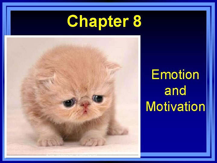 Chapter 8 Emotion and Motivation Copyright © Allyn & Bacon 2007 