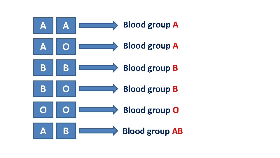 A A Blood group A A O Blood group A B B Blood group