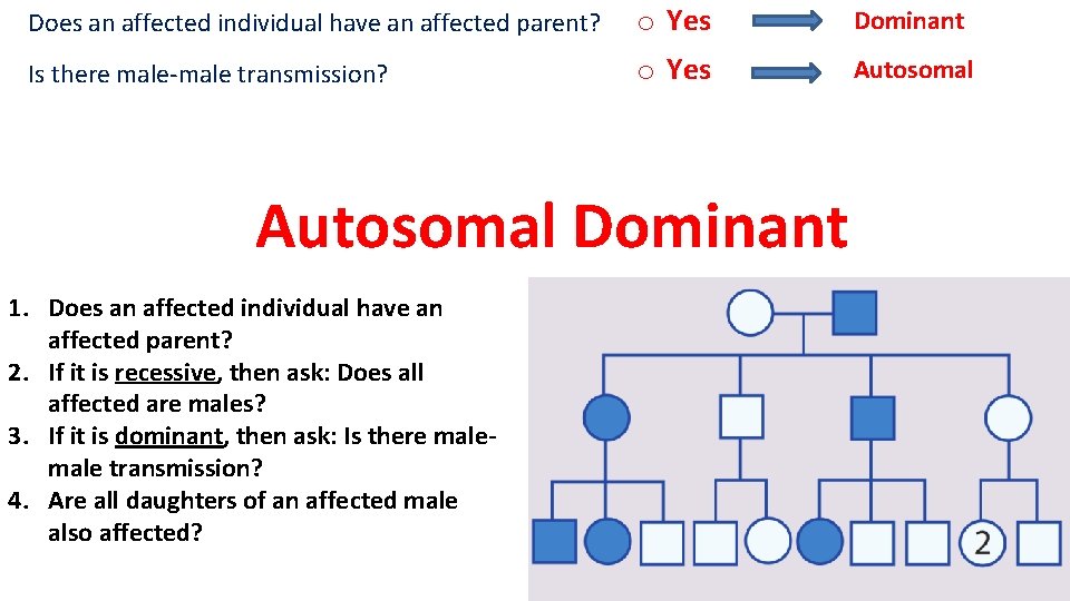 Does an affected individual have an affected parent? o Yes Dominant Is there male-male