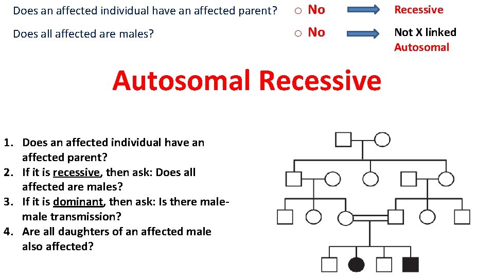 Does an affected individual have an affected parent? o No Recessive Does all affected