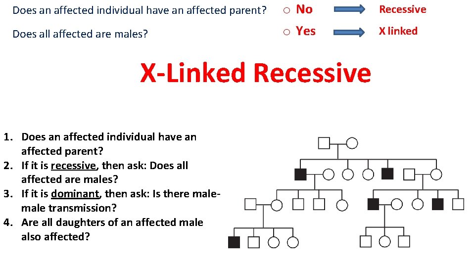 Does an affected individual have an affected parent? o No Recessive Does all affected