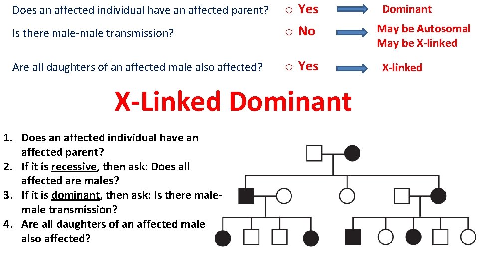 Does an affected individual have an affected parent? o Yes Is there male-male transmission?