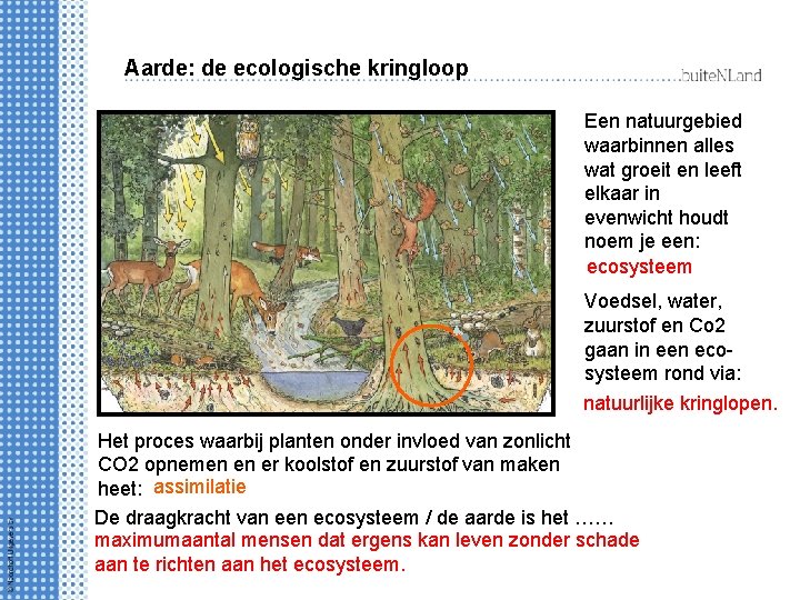 Aarde: de ecologische kringloop Een natuurgebied waarbinnen alles wat groeit en leeft elkaar in
