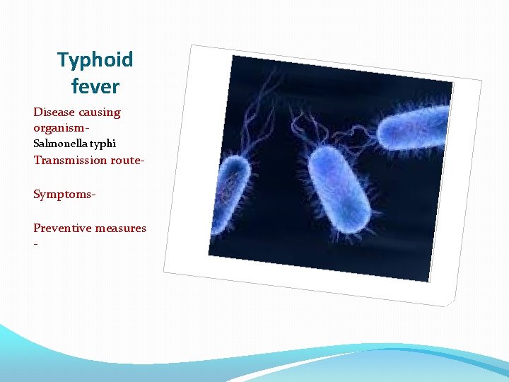 Typhoid fever Disease causing organism. Salmonella typhi Transmission route. Symptoms. Preventive measures - 