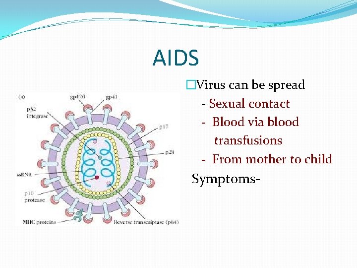 AIDS �Virus can be spread - Sexual contact - Blood via blood transfusions -