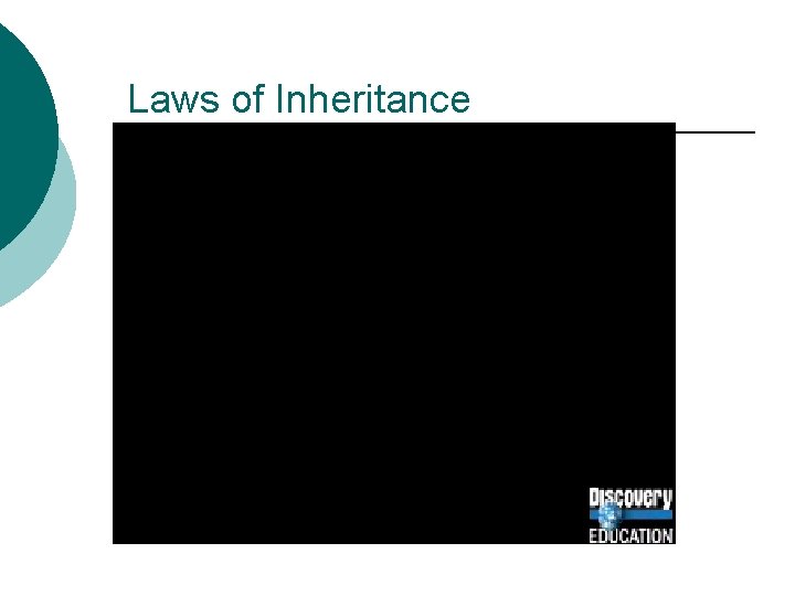 Laws of Inheritance 