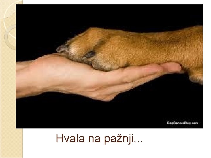 Hvala na pažnji. . . 