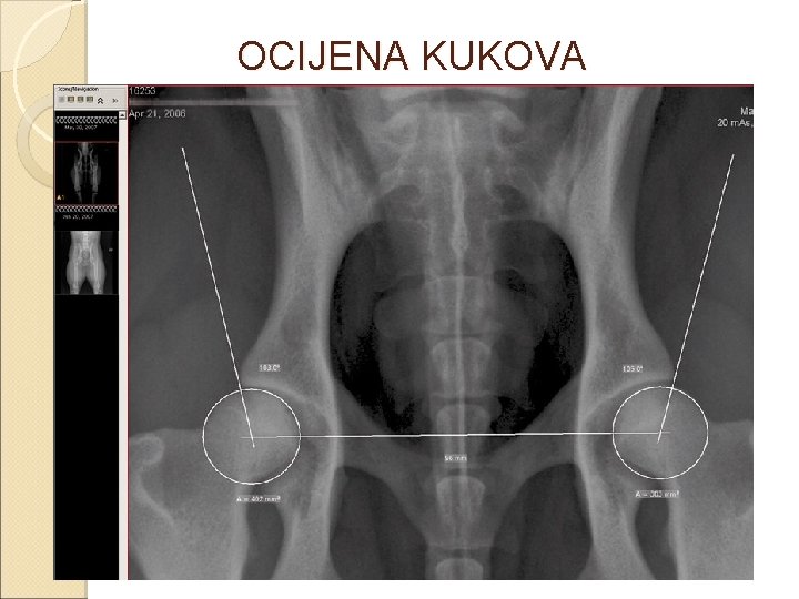 OCIJENA KUKOVA 