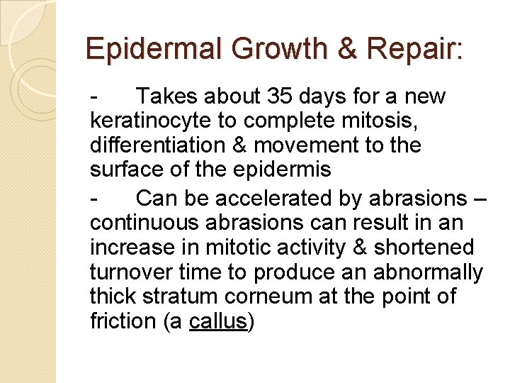 Epidermal Growth & Repair: Takes about 35 days for a new keratinocyte to complete