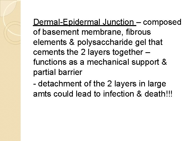 Dermal-Epidermal Junction – composed of basement membrane, fibrous elements & polysaccharide gel that cements