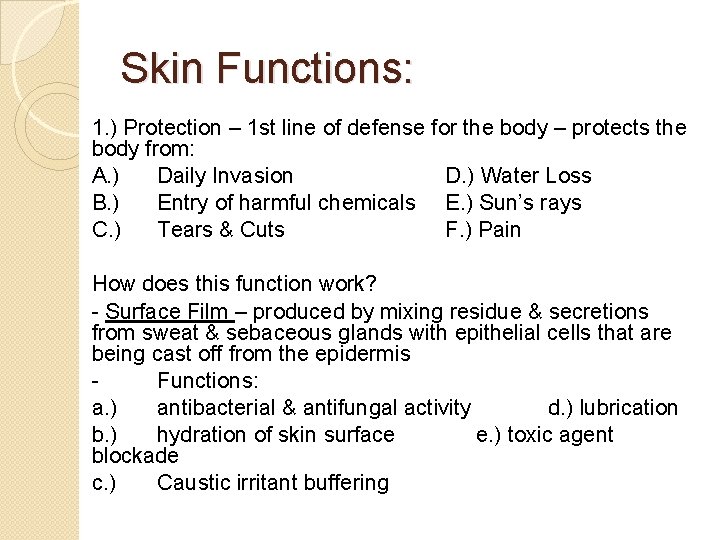 Skin Functions: 1. ) Protection – 1 st line of defense for the body