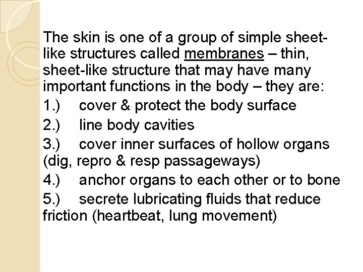 The skin is one of a group of simple sheetlike structures called membranes –