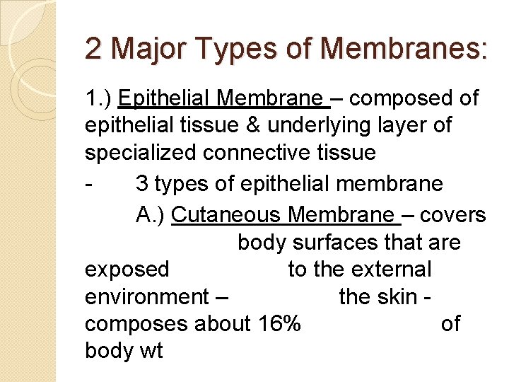 2 Major Types of Membranes: 1. ) Epithelial Membrane – composed of epithelial tissue