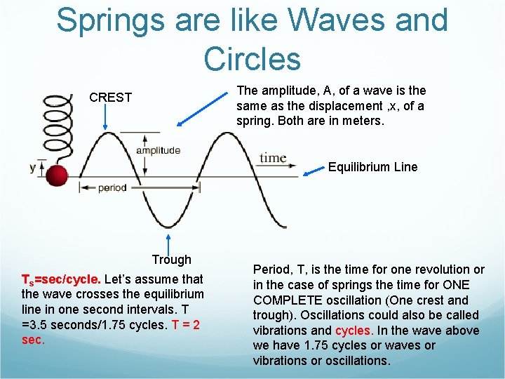 Springs are like Waves and Circles The amplitude, A, of a wave is the