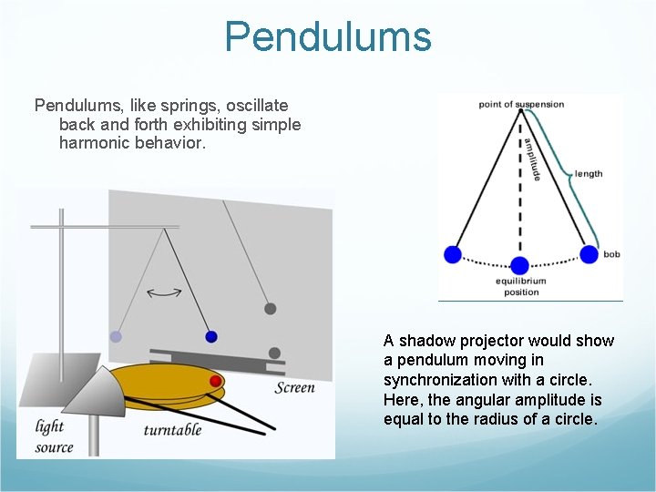 Pendulums, like springs, oscillate back and forth exhibiting simple harmonic behavior. A shadow projector