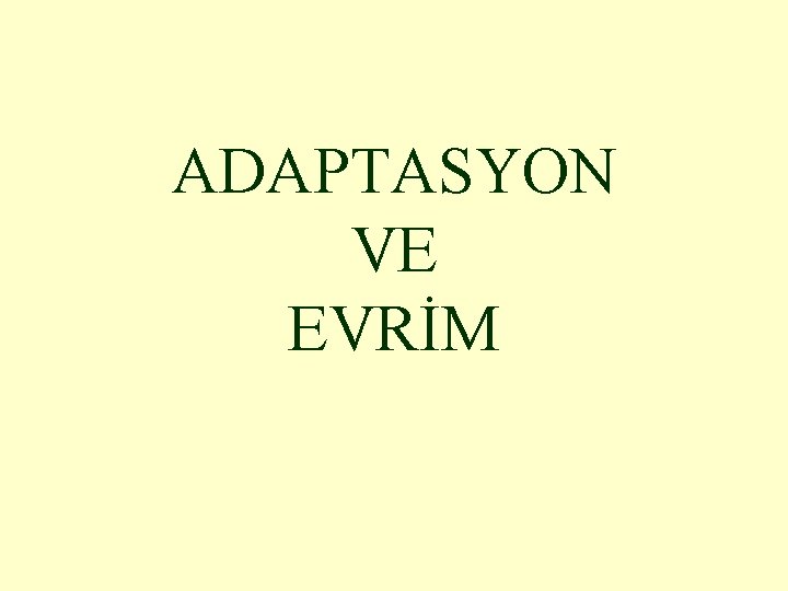 ADAPTASYON VE EVRİM 