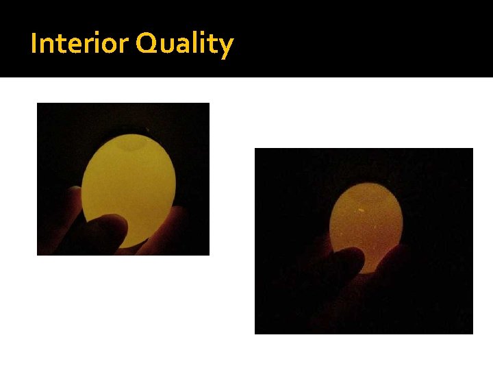 Interior Quality Interior Quality