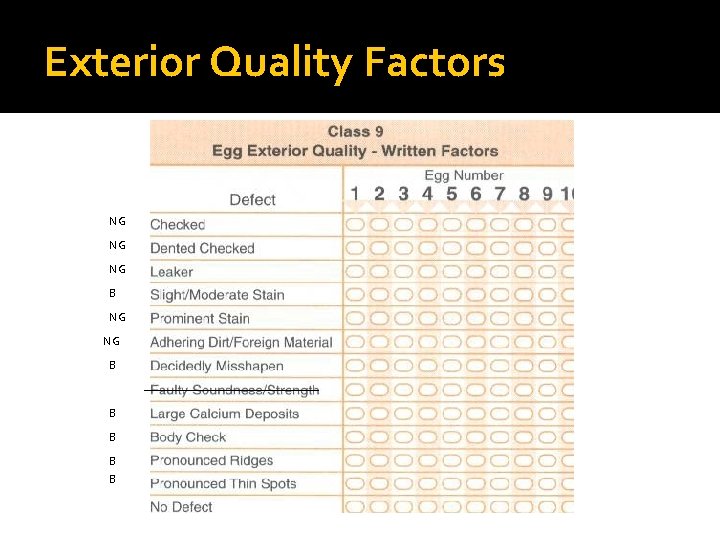 Exterior Quality Factors NG NG NG B B B Exterior Quality Factors NG NG NG B B B