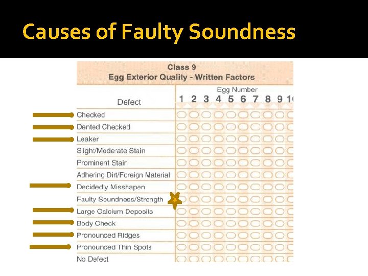 Causes of Faulty Soundness Causes of Faulty Soundness