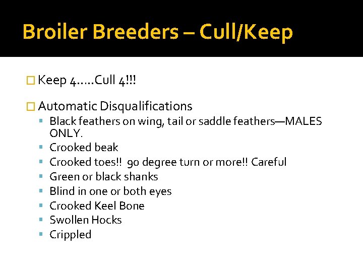 Broiler Breeders – Cull/Keep � Keep 4…. . Cull 4!!! � Automatic Disqualifications Black Broiler Breeders – Cull/Keep � Keep 4…. . Cull 4!!! � Automatic Disqualifications Black