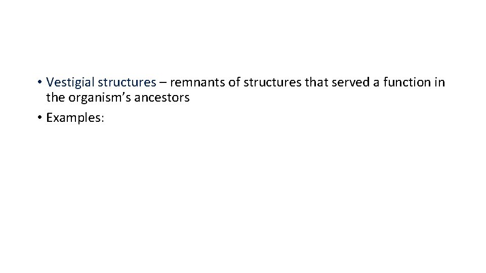  • Vestigial structures – remnants of structures that served a function in the