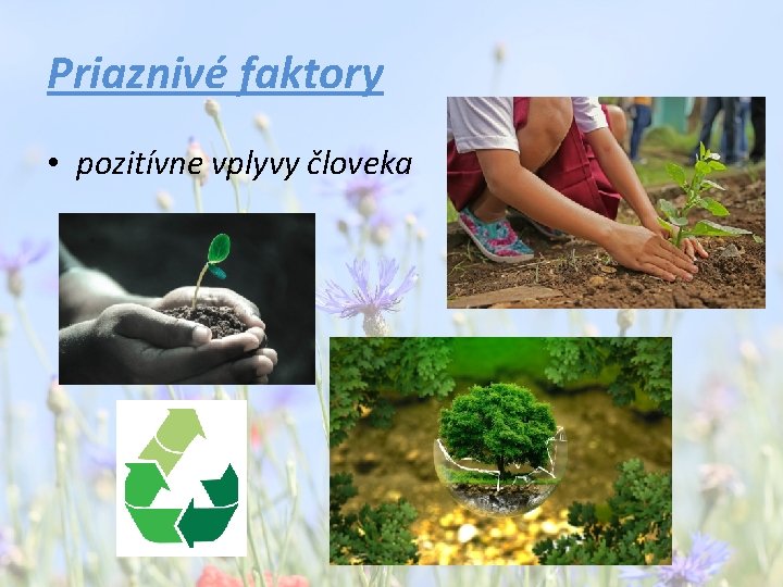 Priaznivé faktory • pozitívne vplyvy človeka 