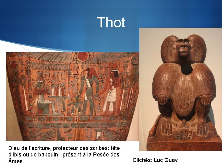 Thot Dieu de l’écriture, protecteur des scribes: tête d’Ibis ou de babouin, présent à