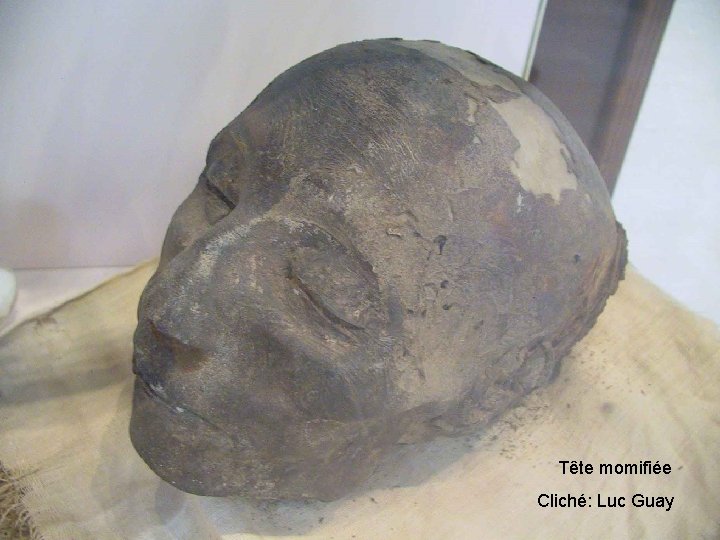 Tête momifiée Cliché: Luc Guay 