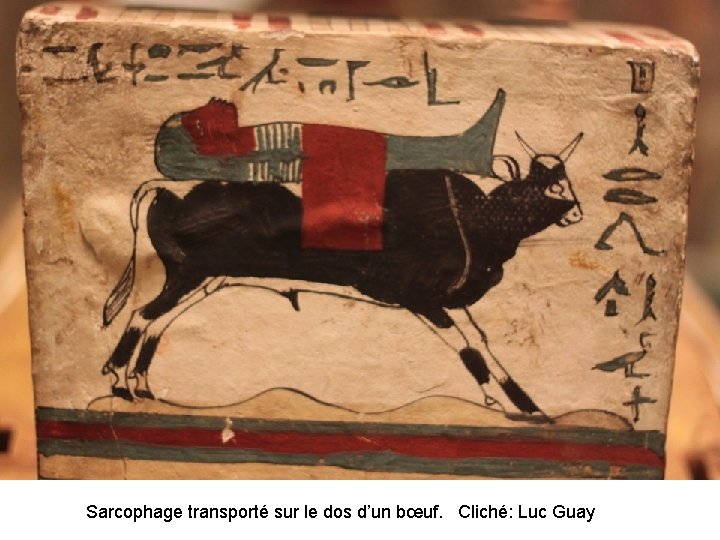 Sarcophage transporté sur le dos d’un bœuf. Cliché: Luc Guay 