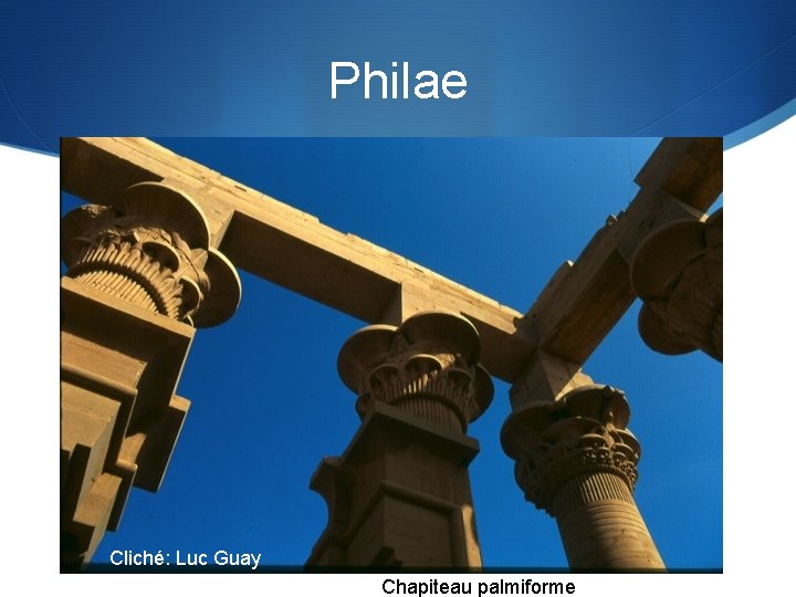 Philae Cliché: Luc Guay Chapiteau palmiforme 