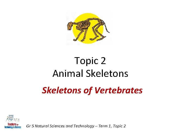 Topic 2 Animal Skeletons of Vertebrates Gr 5 Natural Sciences and Technology – Term