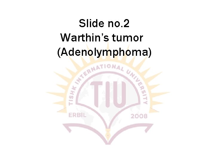 Slide no. 2 Warthin’s tumor (Adenolymphoma) 