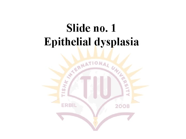 Slide no. 1 Epithelial dysplasia 