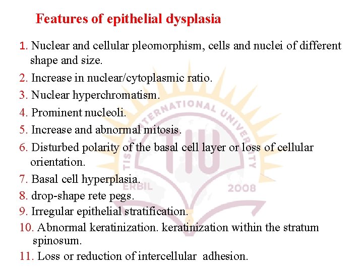 Features of epithelial dysplasia 1. Nuclear and cellular pleomorphism, cells and nuclei of different