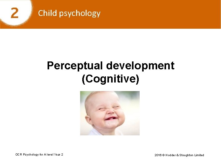 Child psychology Perceptual development (Cognitive) OCR Psychology for A level Year 2 2016 ©