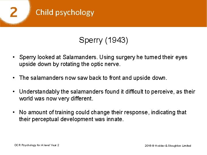 Child psychology Sperry (1943) • Sperry looked at Salamanders. Using surgery he turned their