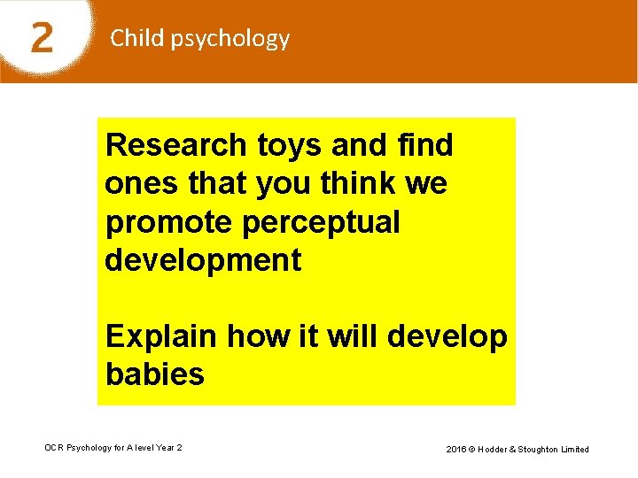Child psychology Research toys and find ones that you think we promote perceptual development