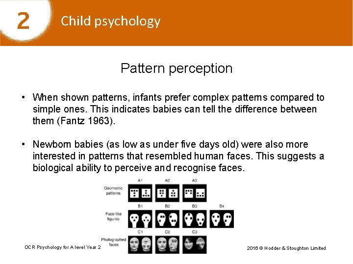 Child psychology Pattern perception • When shown patterns, infants prefer complex patterns compared to