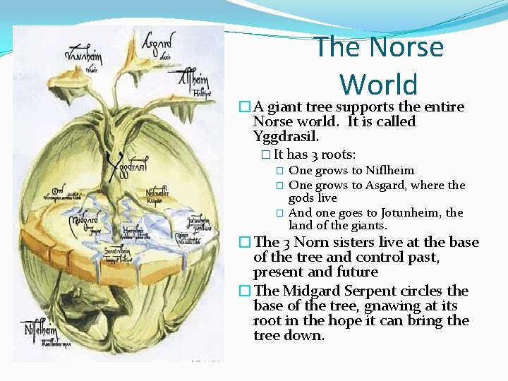 The Norse World �A giant tree supports the entire Norse world. It is called