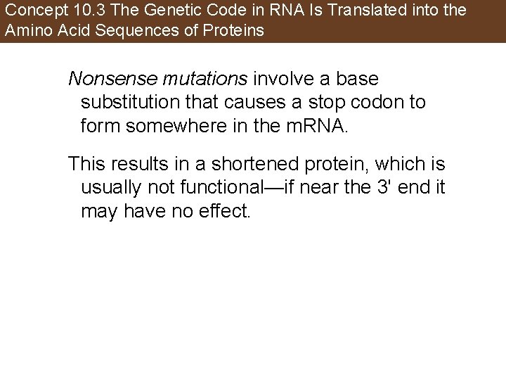 Concept 10. 3 The Genetic Code in RNA Is Translated into the Amino Acid