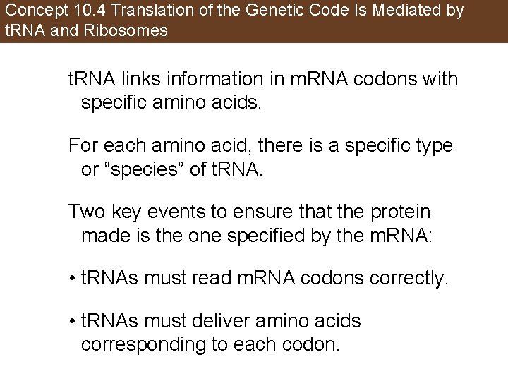 Concept 10. 4 Translation of the Genetic Code Is Mediated by t. RNA and