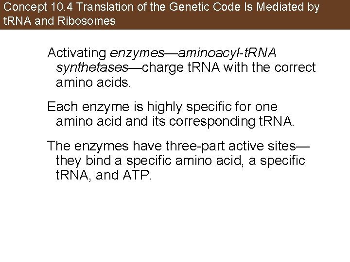 Concept 10. 4 Translation of the Genetic Code Is Mediated by t. RNA and