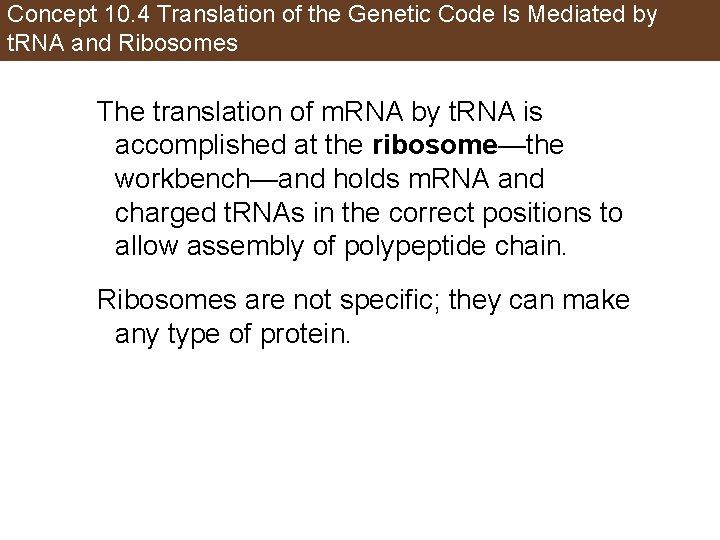 Concept 10. 4 Translation of the Genetic Code Is Mediated by t. RNA and