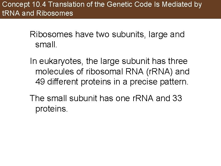 Concept 10. 4 Translation of the Genetic Code Is Mediated by t. RNA and
