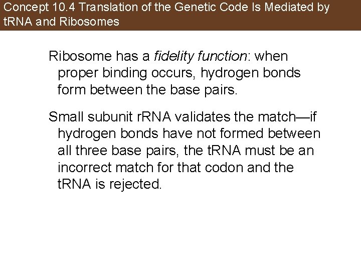 Concept 10. 4 Translation of the Genetic Code Is Mediated by t. RNA and