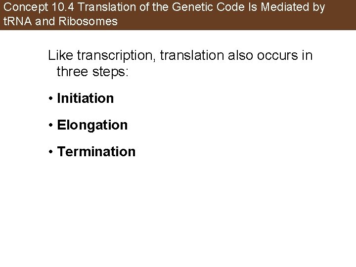 Concept 10. 4 Translation of the Genetic Code Is Mediated by t. RNA and