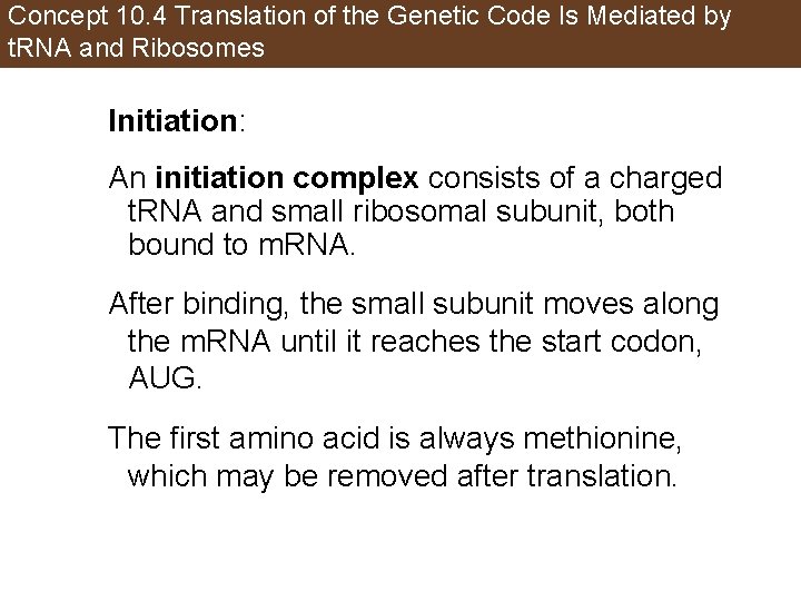 Concept 10. 4 Translation of the Genetic Code Is Mediated by t. RNA and