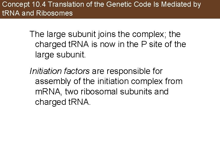 Concept 10. 4 Translation of the Genetic Code Is Mediated by t. RNA and