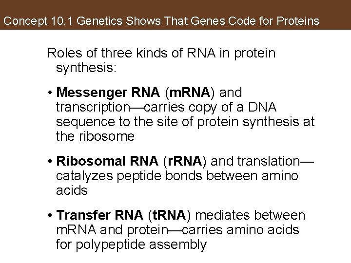 Concept 10. 1 Genetics Shows That Genes Code for Proteins Roles of three kinds